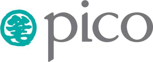 Pico Global